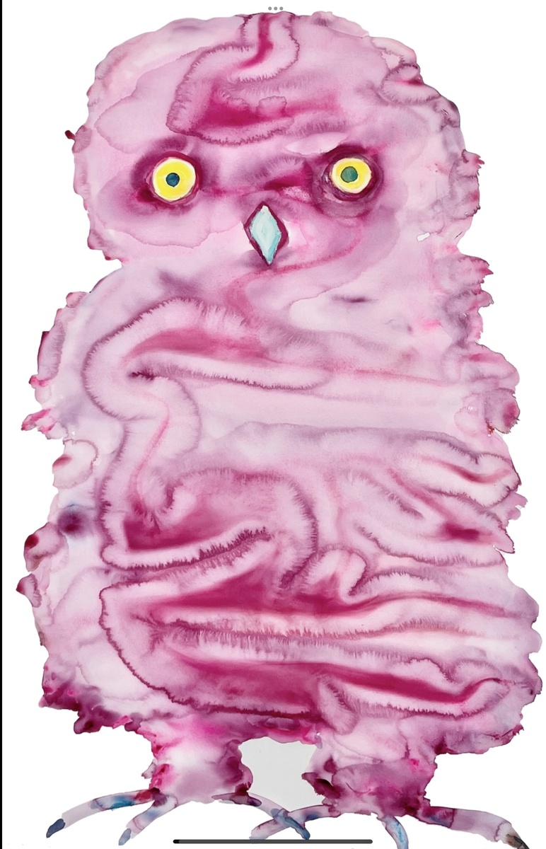 Large Pink Owl, watercolor on paper, 50” x 44”  2023
