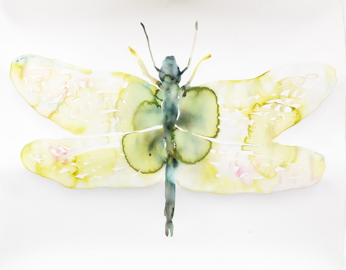 4 Upper legs, 4 Wings,, Light Green,  34″ x 45″, watercolor on paper 2021